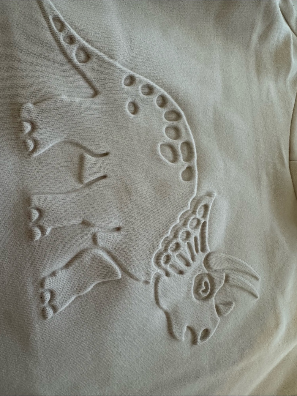 Kids Cream Dinosaur Embossed hoodie